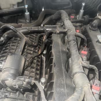 SsangYong Ssanyong Torres Şikayet