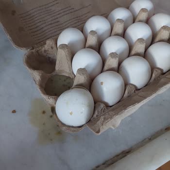 Migros Hemen Yumurtacım Marka Bozuk Yumurta