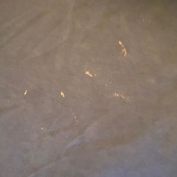 Filiz Yıldız Aktaş Kuaför'de Beklenmeyen Sonuçlar