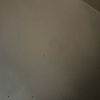 Altus 5-6 Ayda Ürün Defoları Ortaya Çıkıyor