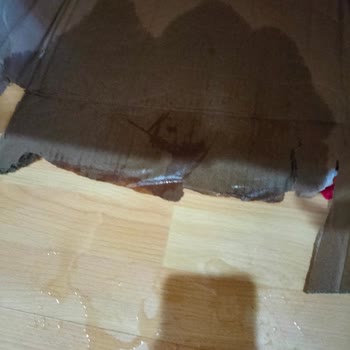 MNG Kargo Ürünlerim Kayboldu Ve Hasar Gördü