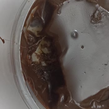 BİM Hijyen Kaliteniz Çok Kötü