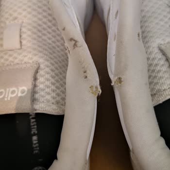 In Street Adidas Ayakkabı Deforme Oluşması
