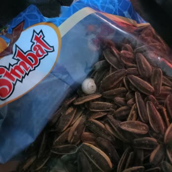 BİM Ay Çekirdeği Paketinden Salyangoz Çıktı.