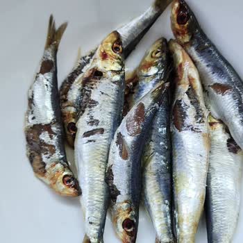 Migros Sanal Marketten Bozuk Balık Gönderiliyor