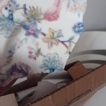 Bernardo'dan Gelen Kırık Tabak