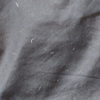 Chakra Kaz Tüyü Yorgan, Tüy Problemi