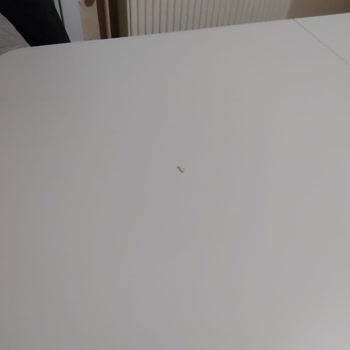 Özşanal Aldığım Düğün Eşyalarının Hepsinin Kırık Çıkması