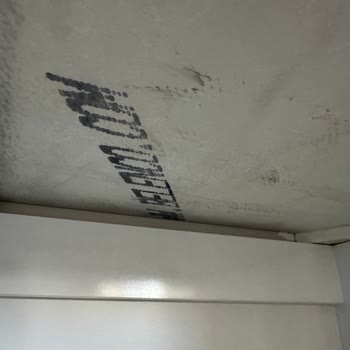 3 Yıllık Belenco Taşım Çatladı!