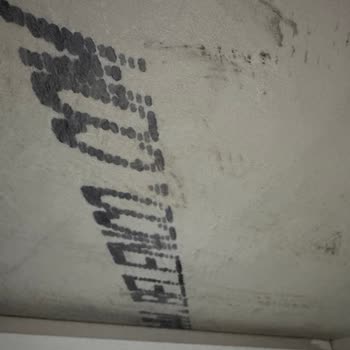 3 Yıllık Belenco Taşım Çatladı!