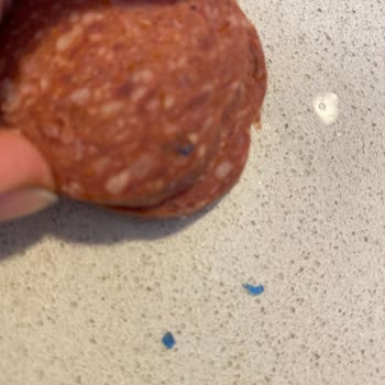 Torku Sucukta Plastik Bir Şeyler