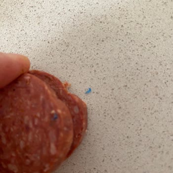 Torku Sucukta Plastik Bir Şeyler