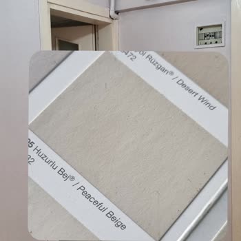 Polisan Pişmanlık Huzurlu Bej Lila Oldu