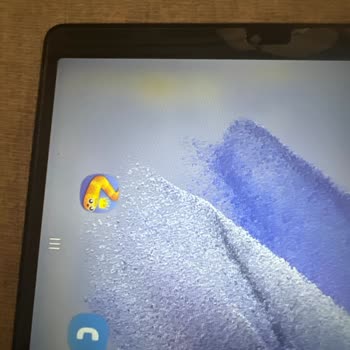 Samsung TAB7 Ekran Sararması