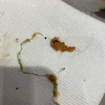 Hacıoğlu Restaurant Lahmacunda Plastik Şoku!