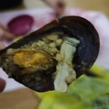 İnci Midye Kokoreç Midyede Şok Edici Sigara İzmariti Buldum!