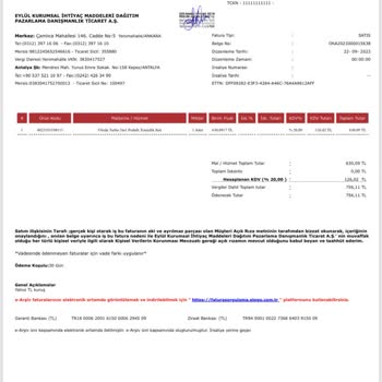 Vileda 2in1 Pedallı Temizlik Seti