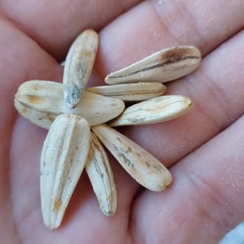 A101 Kapıda Bozuk Ürünü İade Almıyor