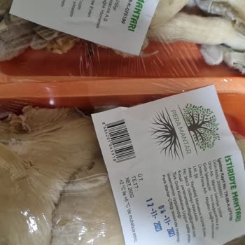 A101 Kapıda Miadı Gelmiş Mantar Getirdi İade Edemiyorum