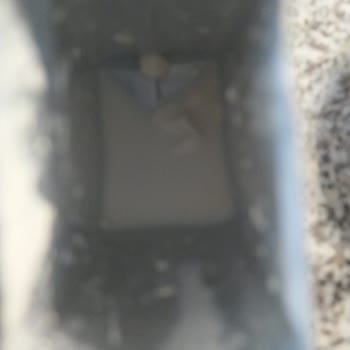 Sütaş Süt Alma Alana Da Mani Ol