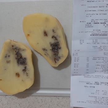 A101 Aldığım Sebze Çürük