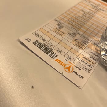 Köfteci Yusuf Yeşil Pire Benzeri Böcekler