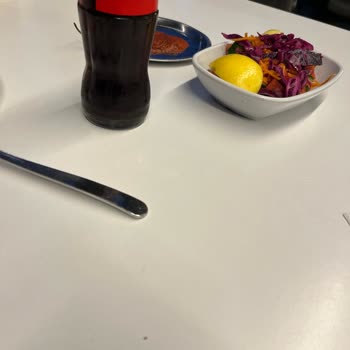 Köfteci Yusuf Yeşil Pire Benzeri Böcekler