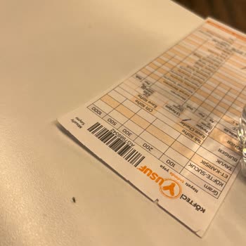 Köfteci Yusuf Yeşil Pire Benzeri Böcekler