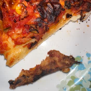 Superfresh Pizza Kumaş Çıktı!