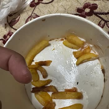 Köfteci Yusuf Patates Kızartmasından Çıkan Kıl