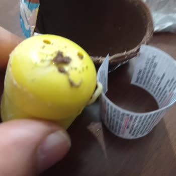 Ozmo Çikolatada Kurtçuk Çıktı