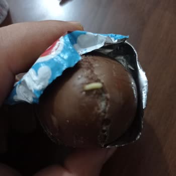 Ozmo Çikolatada Kurtçuk Çıktı