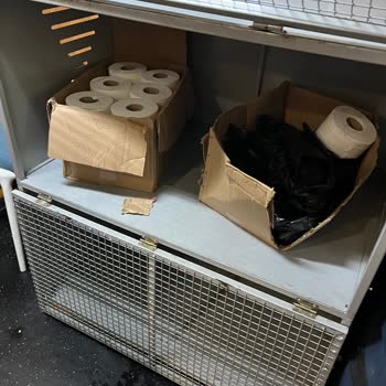 BURULAŞ Evcil Hayvanların Kafeste Gitmemesi Gerekir