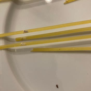 Barilla'dan Böcekli Sürpriz!