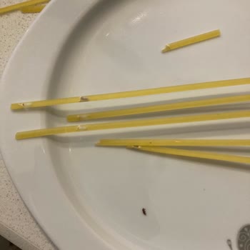 Barilla'dan Böcekli Sürpriz!