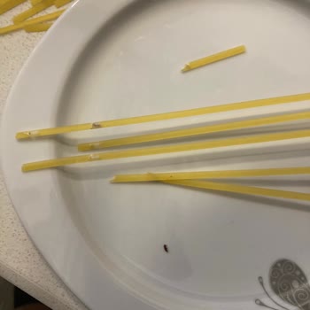 Barilla'dan Böcekli Sürpriz!