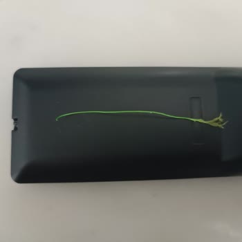 BİM Cips Paketinden Kalın İp Çıktı