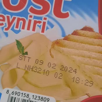 Teksüt Tost Peyniri Küflenmiş