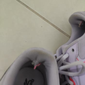 Reebok Ayakkabının İçinin Parçalanması