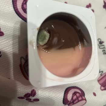 Sütaş Tatlım Marka Ürünü