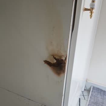 Luxell Fırın Ürünün Evi Yakıyordu