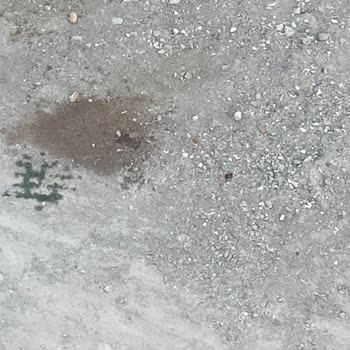 D-Smart İnternet Yok 2 Aydır