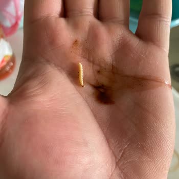 Billur Kahve Migros Kurtlu Kahve Satışı