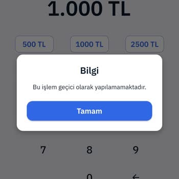 MoneyPay Parama El Koydu IBAN'a Transfere İzin Vermiyor.