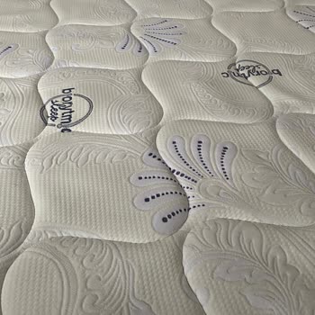 Bellona Bioenergy Yatak Talihsizliği