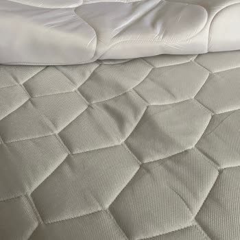 Bellona Bioenergy Yatak Talihsizliği