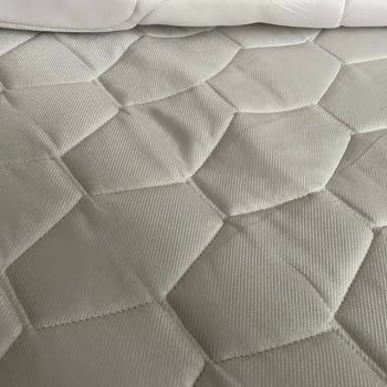 Bellona Bioenergy Yatak Talihsizliği