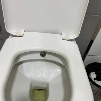 BP Petrolleri Tuvaletler Bakımsız