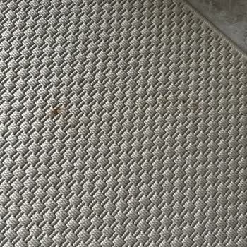 Işıl Halı Yıkama (İstanbul) Kirli Halı Teslimatı