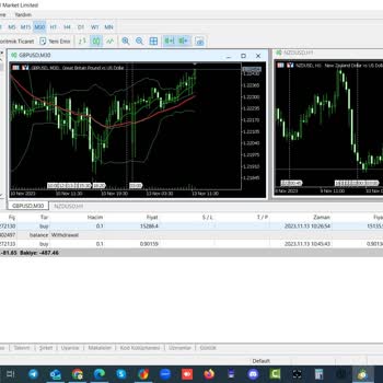 Maxus Market İsimli Forex Aracı Kurum Firması